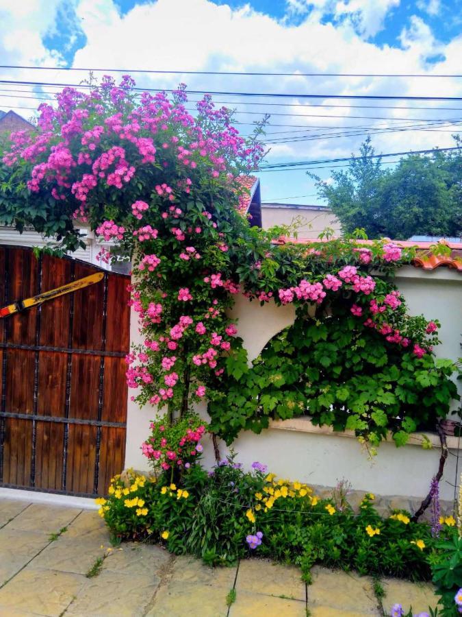 Guesthouse Elizabeth Samokov Exterior foto