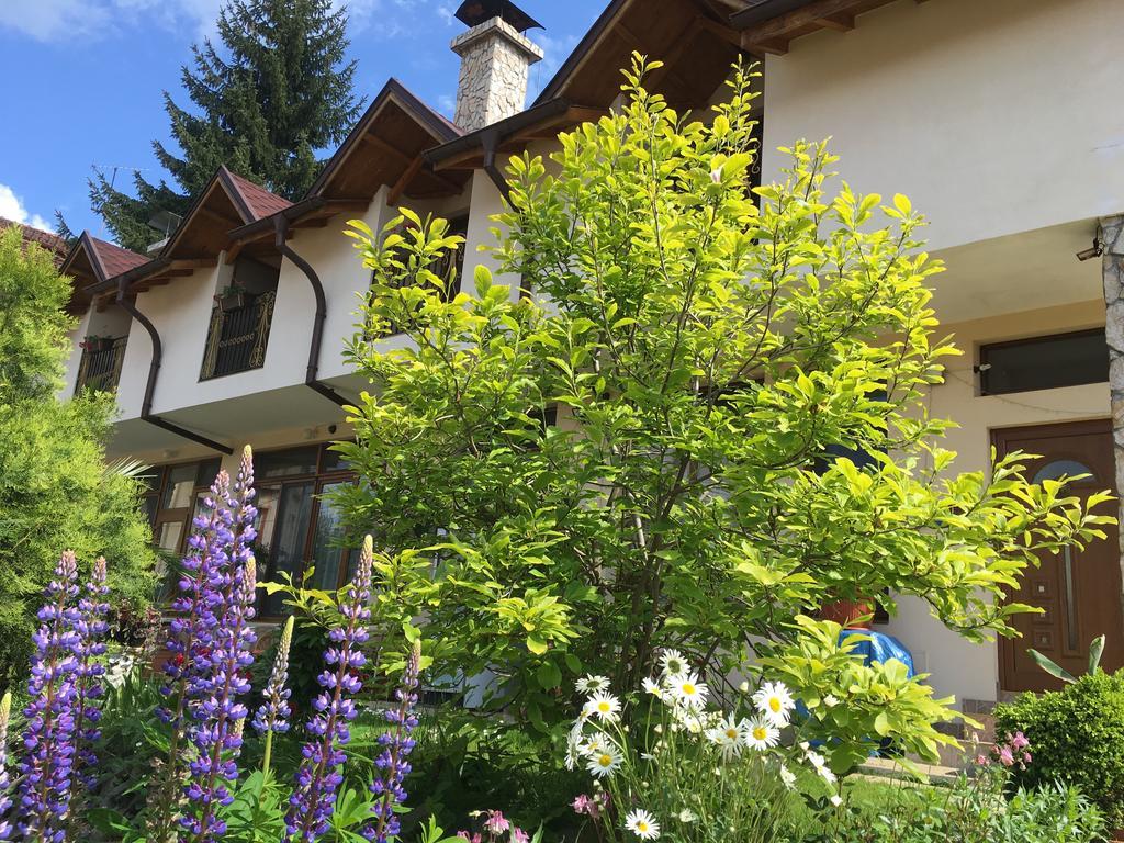 Guesthouse Elizabeth Samokov Exterior foto