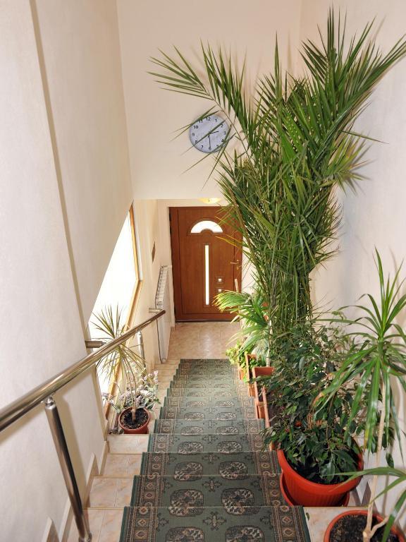 Guesthouse Elizabeth Samokov Habitación foto